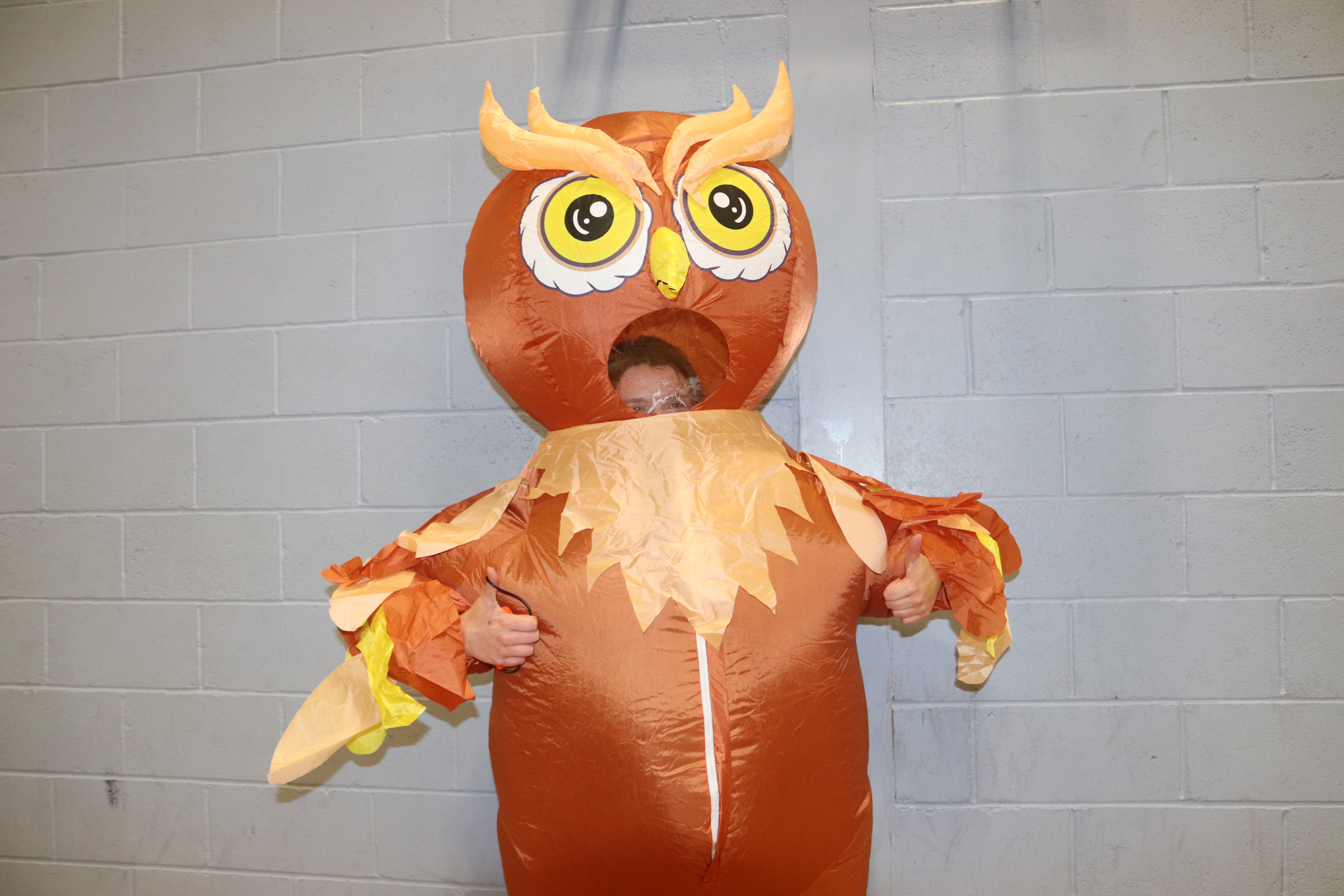 The Wildest Team Yet....... Our new house system launch!